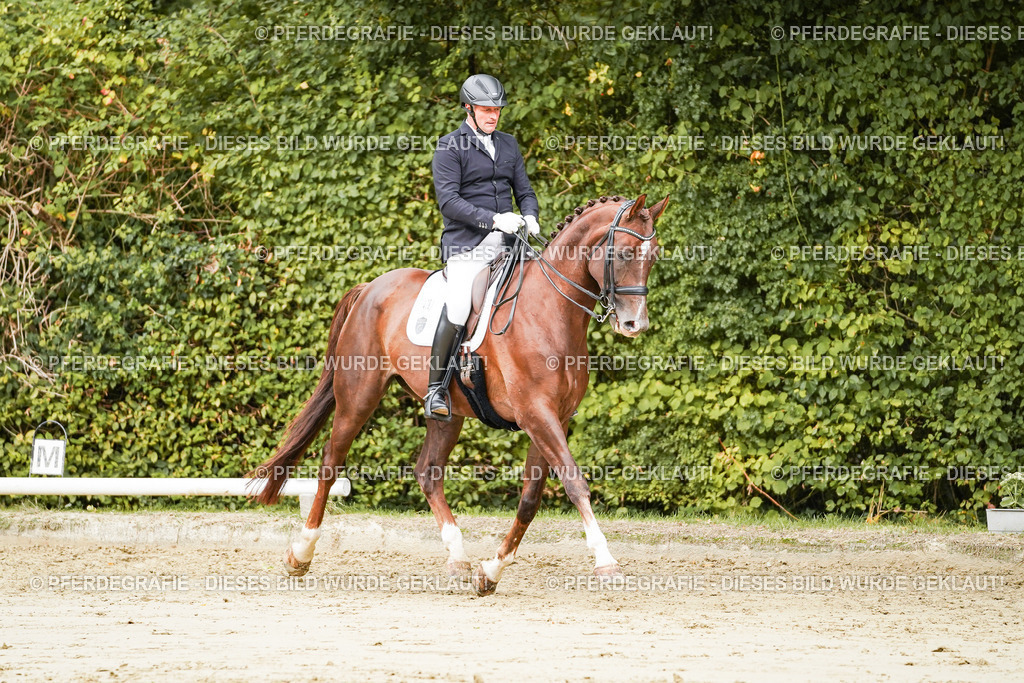 DSC03672 | Pferdegrafie