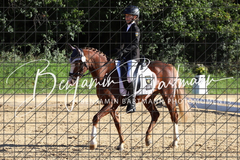 IMG_4768 | Benjamin Bartmann Photomoments