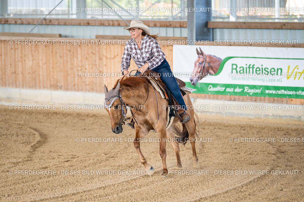 DSC02013 | Pferdegrafie