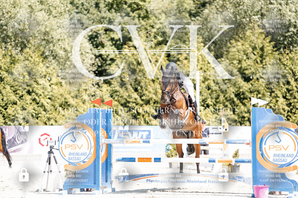 CK900468 | Turnierfotografie Pferdefotografie Trier Rheinland-Pfalz Pferdesport Reitsport Tierfotografie Sportfotografie Pferdevideo Pferdevideografie Equestrianvideography equestrianphotography  - Realisiert mit Pictrs.com