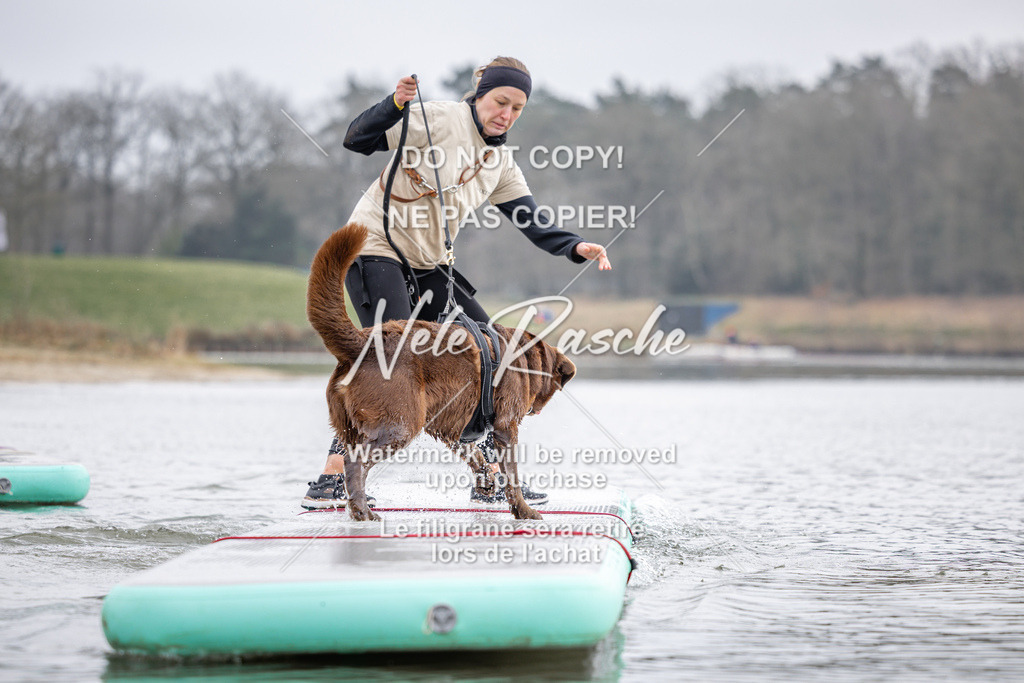 nelerasche_Hulsbeek_Sa1230-1330_140 | nelerasche