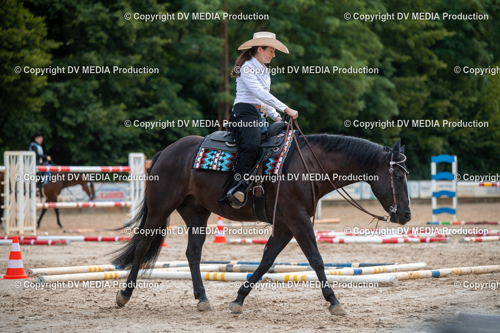 ZS3_9209 | dv-media-shop - Realisiert mit Pictrs.com