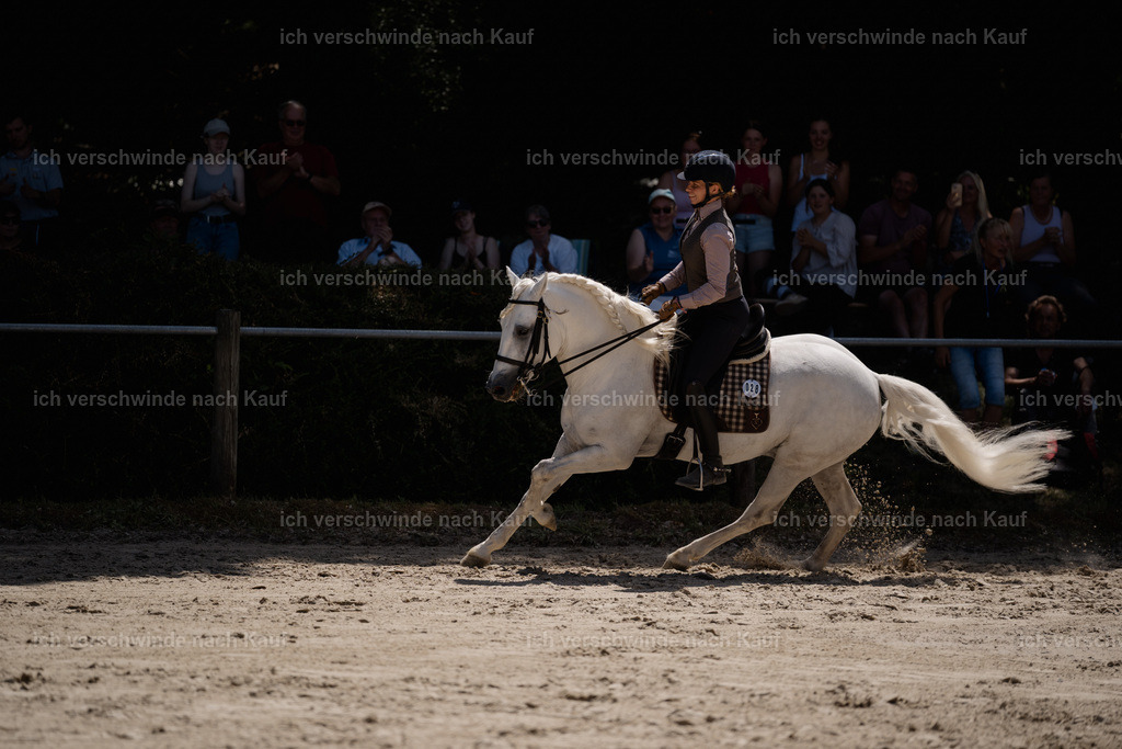 WM_SP_28_Stoibphotography_SO18924 | working equitationturnier fotograf videograf stoibphotography marixx film working equitation deutschland reitsport turnierfotografie eventfotografie equestrian events