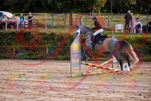 2026_10_03_Siefer-Hof_145113_Z81_29965073 | Professionelle Reitsport-, Turnier- und Eventfotografie von Robert Broda. Galerien mit ausgewählten und bearbeiteten Bildern direkt online ansehen und bestellen.