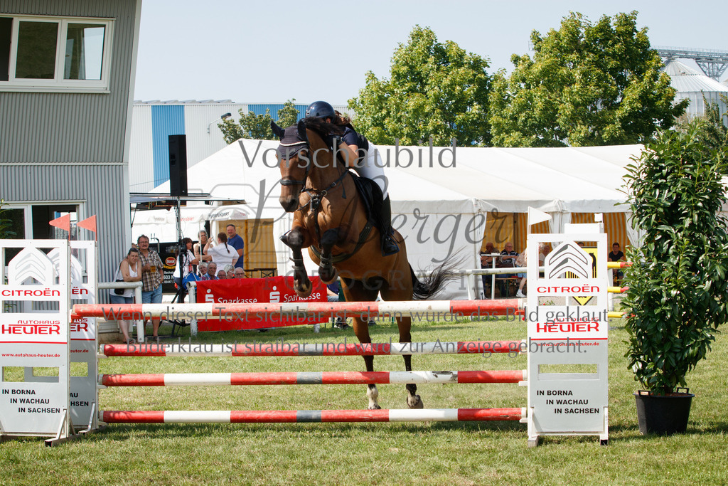 IMG_3512 | P. Berger Fotografie - Realisiert mit Pictrs.com