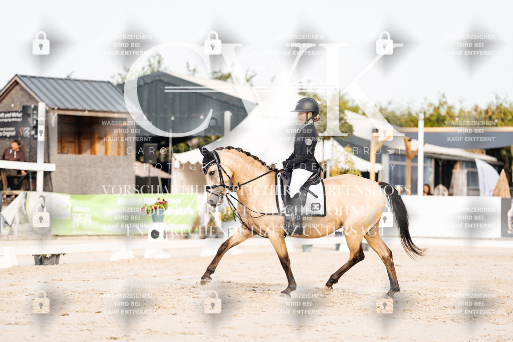 CK904292 | Turnierfotografie Pferdefotografie Trier Rheinland-Pfalz Pferdesport Reitsport Tierfotografie Sportfotografie Pferdevideo Pferdevideografie Equestrianvideography equestrianphotography  - Realisiert mit Pictrs.com