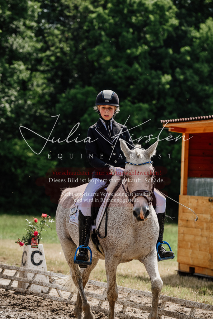 DSC_0511 | Pferde- und Turnierfotografie in Westsachsen. Pferdeportraits, Auftragszeichnungen und intuitive Kunst.