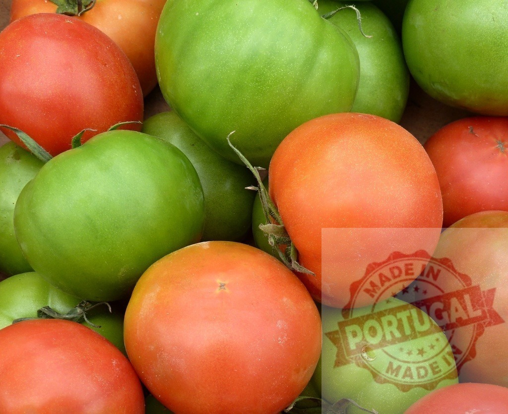 Ripe and unripe tomatoes showing ripening process | Green and red tomatoes gathered together, representing growth and harvest - Realized with Pictrs.com