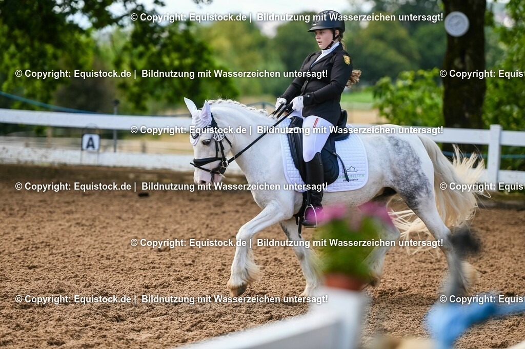 20230716_04_Dressurreiterprüfung Kl.A_0446 | equistock