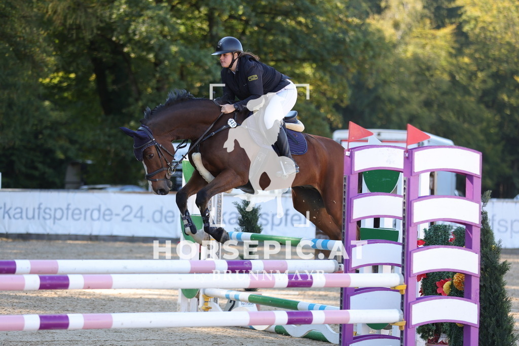 0P6A0375 | Willkommen bei Brunnmayr - Design & Fotografie – Ihrem Spezialisten für Reitturniere und Pferdeveranstaltungen in Oberösterreich, Salzburg und Bayern! Seit über 17 Jahren sind wir leidenschaftlich dabei.