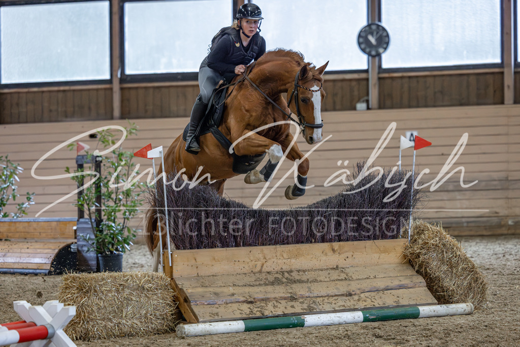 20260222-_3LI2306 | Tierfotografie Pferde, Hunde, Katzen, Haustiere.
Turnierfotografie Reitturniere, Reiten, Springreiten, Dressur in Hanau, dem Main-Kinzig-Kreis und dem Rhein-Main- Gebiet um Frankfurt