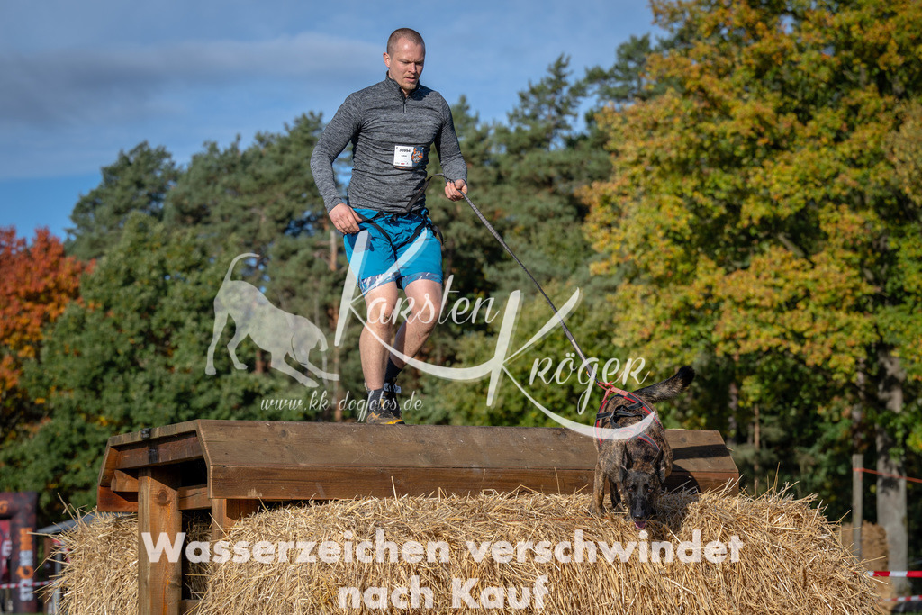 1001_ZZ91986 | kk-dogfotos