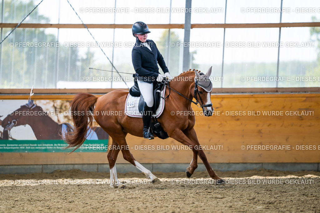 DSC05432 | Pferdegrafie