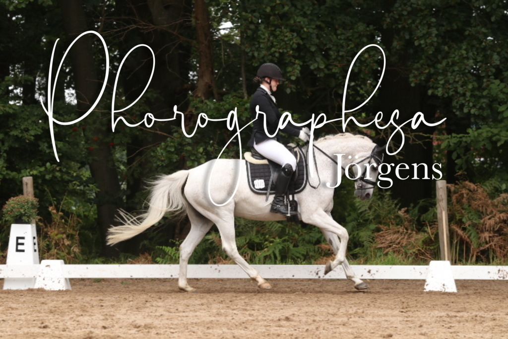 IMG_9617 | photographesa-joergens - Realisiert mit Pictrs.com