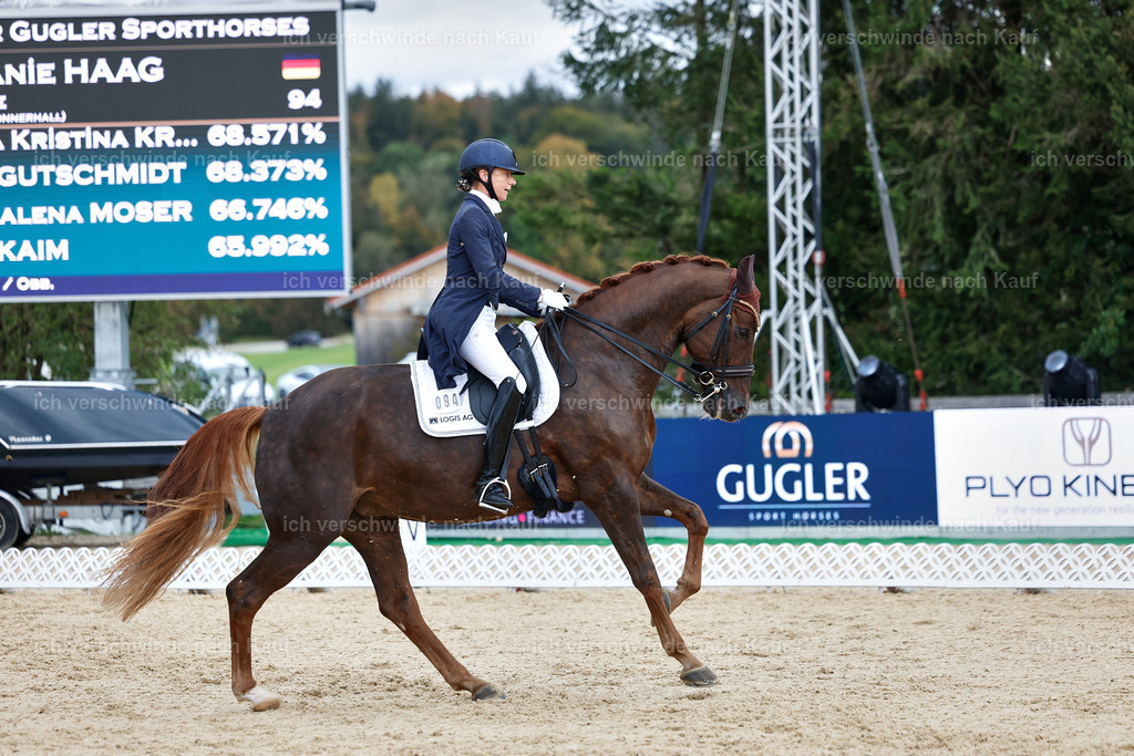 8_1-094-Klasse S_  -StoibPH-3858 | working equitationturnier fotograf videograf stoibphotography marixx film working equitation deutschland reitsport turnierfotografie eventfotografie equestrian events