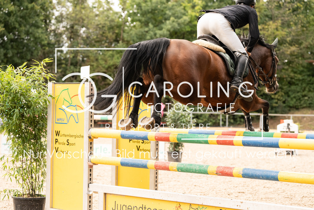 DSC03090 | Carolin Gieschke