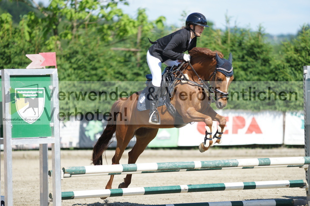 DSC06116 | equestrian-live-com