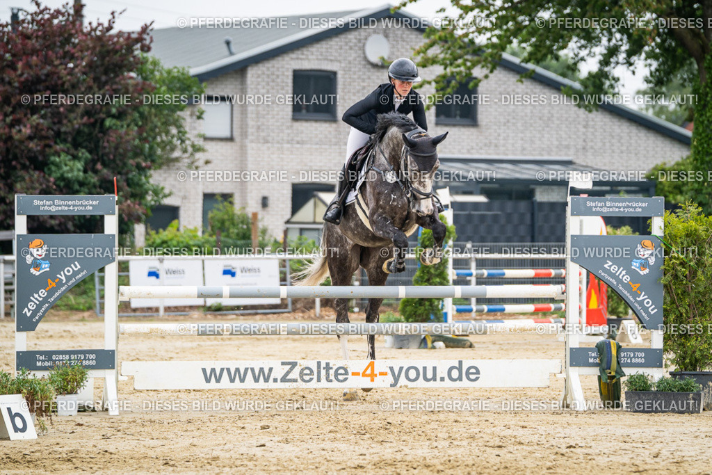 DSC00227 | Pferdegrafie