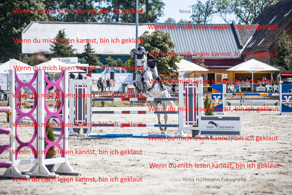 BK1A6360 | Turnierbilder Turnierfotos Nina Hüffmann Turnierfotografie Pferdefotografie Tierzeichnung Haustierzeichnung Pferdezeichnung Hundezeichnung Videograf  - Realisiert mit Pictrs.com
