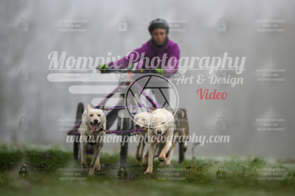 MompixPhotography_CDF2023_FFST_Di_Kart-28 | PayLife