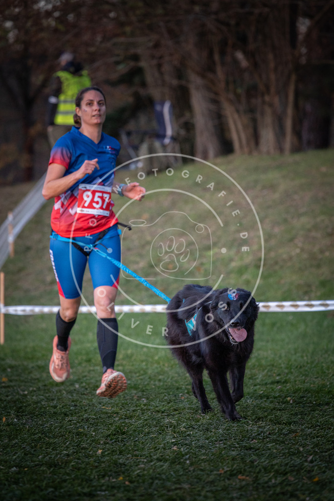 CaniXpix_0L8A2109 | Hundefotografie, Tierfotograf, Pfotenfotografie, Fotoshooting Hund, Hunde Portrait, Hundesport, Hundeportraits, Heideshooting, Hunde, Sportfotograf, Hundefotograf, Turnierhundsport, THS,  - Realisiert mit Pictrs.com