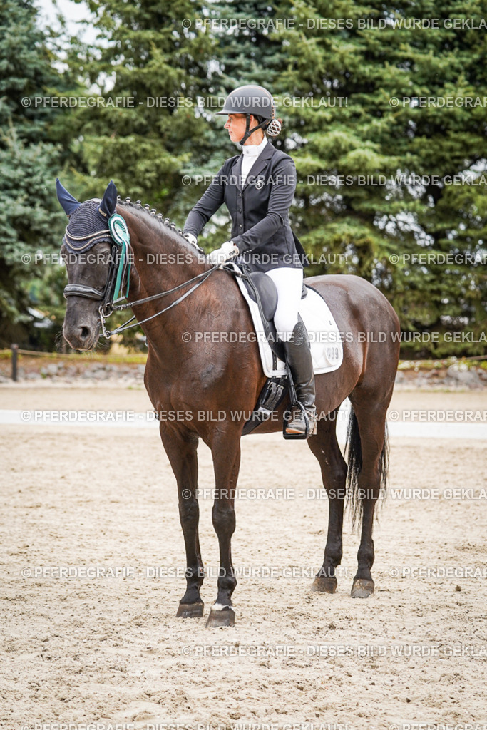 DSC04787 | Pferdegrafie