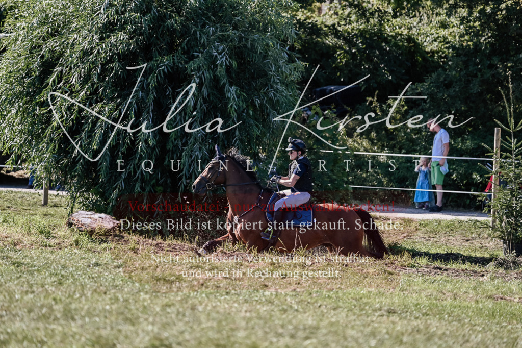 DSC_3387 | Pferde- und Turnierfotografie in Westsachsen. Pferdeportraits, Auftragszeichnungen und intuitive Kunst.