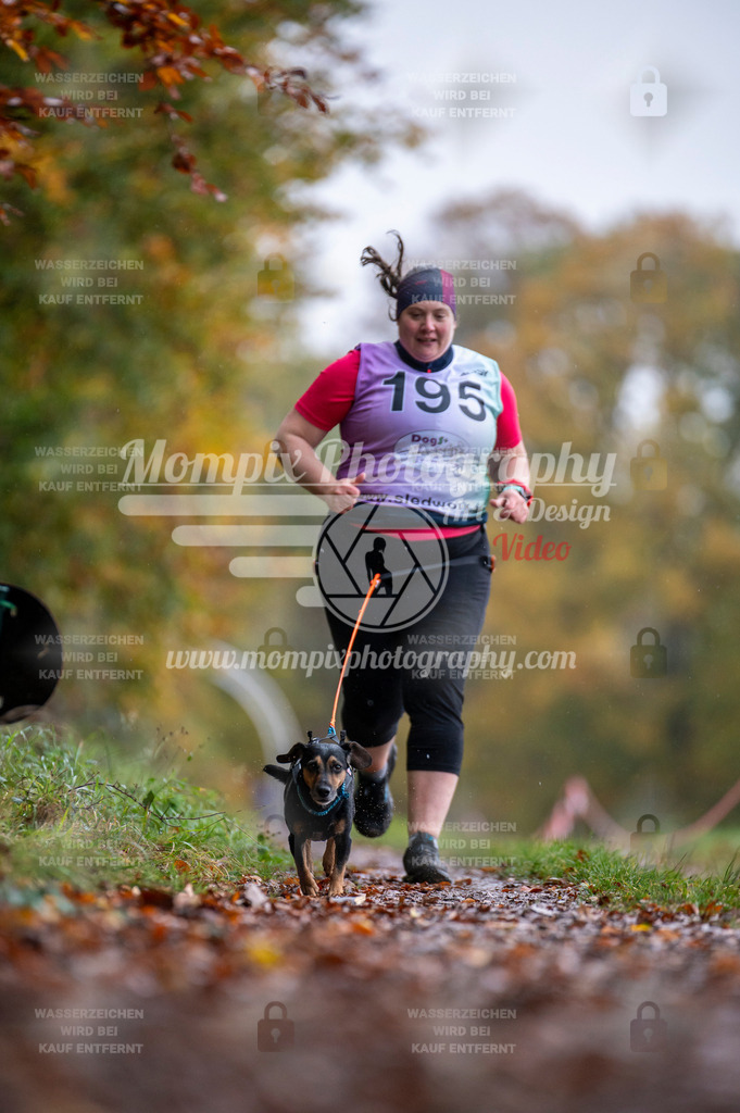 DBT_DAKM_SA_4_11_2023_Canicross-75 | PayLife