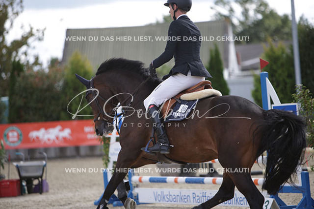 1J2A4760Hannes Ahlmann_ Colly 15_ Kn256_ Havekost | Foto- und Videografie für alles rund ums Pferd. Hochwertige Bilder und Videos vom Spring- und Dressurreiten, Voltigieren & mehr. Jetzt aktuelle Veranstaltungen und Preise im Shop ansehen. - Realisiert mit Pictrs.com