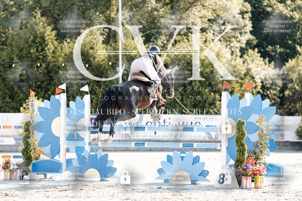 CK901653 | Turnierfotografie Pferdefotografie Trier Rheinland-Pfalz Pferdesport Reitsport Tierfotografie Sportfotografie Pferdevideo Pferdevideografie Equestrianvideography equestrianphotography  - Realisiert mit Pictrs.com
