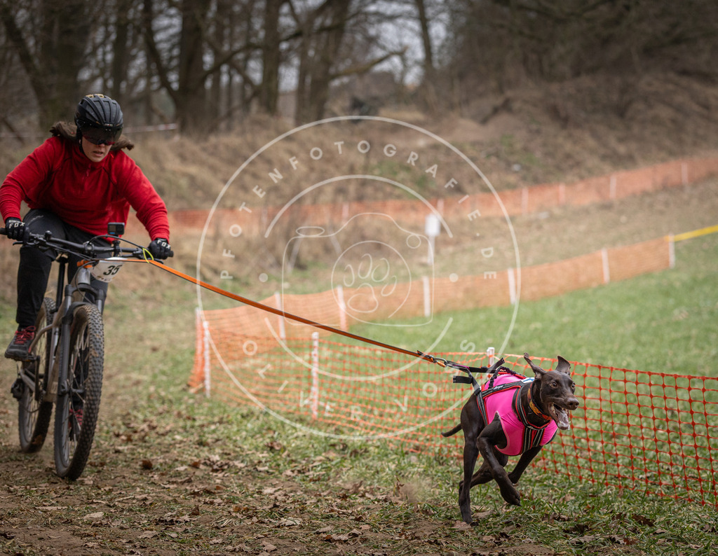 Pfotenfotografie_DV3A5136 | Hundefotografie, Tierfotograf, Pfotenfotografie, Fotoshooting Hund, Hunde Portrait, Hundesport, Hundeportraits, Heideshooting, Hunde, Sportfotograf, Hundefotograf, Turnierhundsport, THS,  - Realisiert mit Pictrs.com