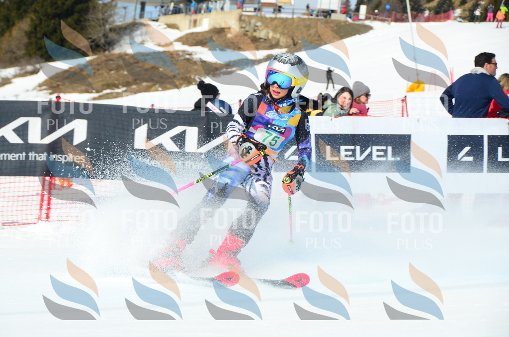 DSC_0448 | holidayphoto