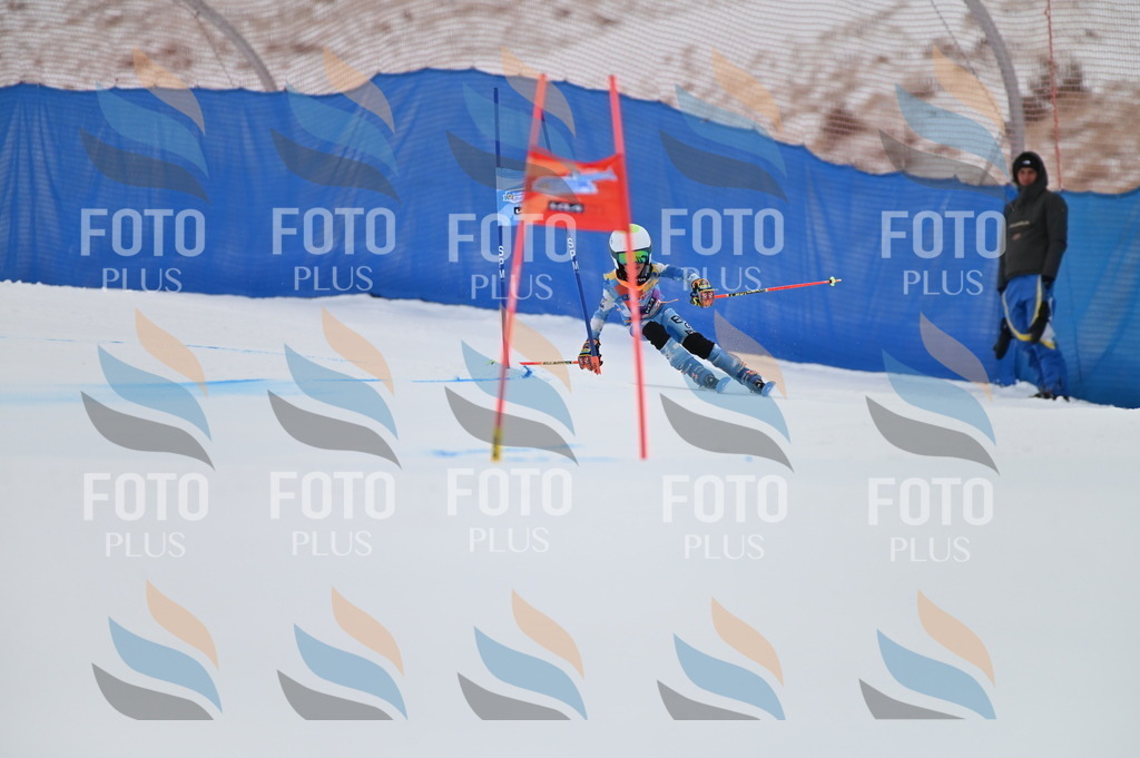 BGV_1500 | holidayphoto