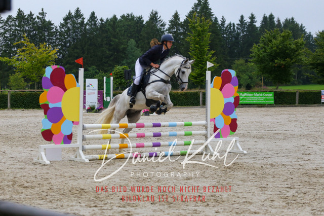 IMG_5031 | Turniersportfotografie; Pferdefotografie; Dressurfotografie