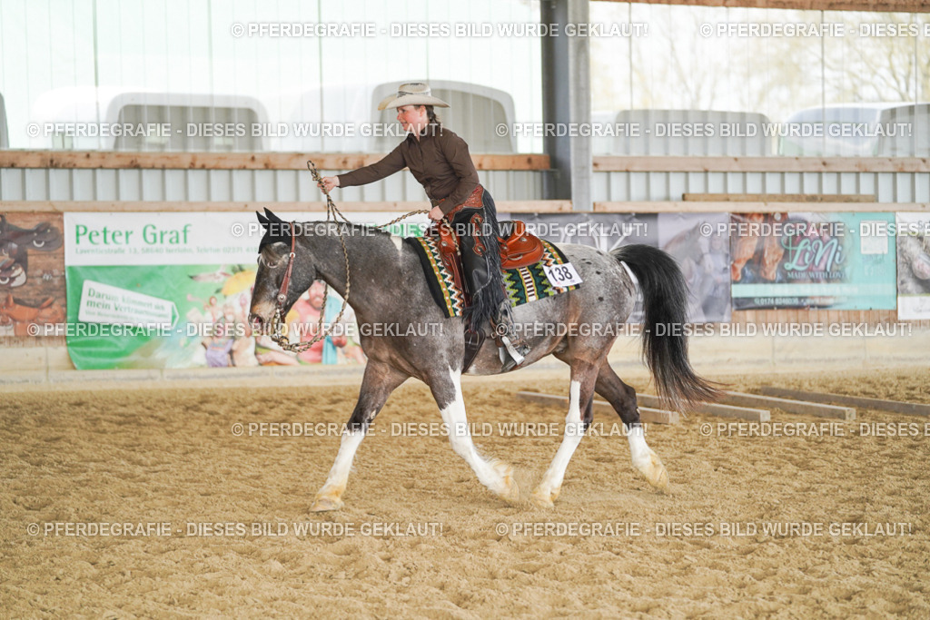 DSC02133 | Pferdegrafie