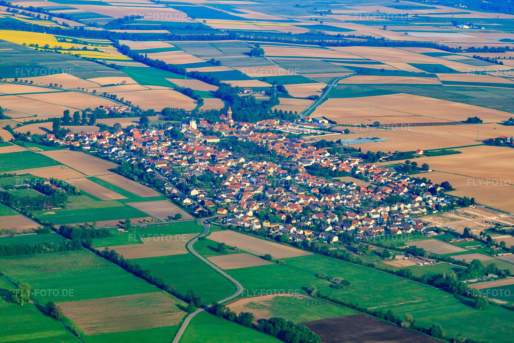 Luftbild: Dorfansicht von Südosten in Minfeld im Bundesland Rheinland-Pfalz in Deutschland. – Foto: IMG_40351.jpg vom 22.04.2011 durch Werner Riehm/FLY-FOTO.de – Auflösung des Originals: 4752 x 3168 px