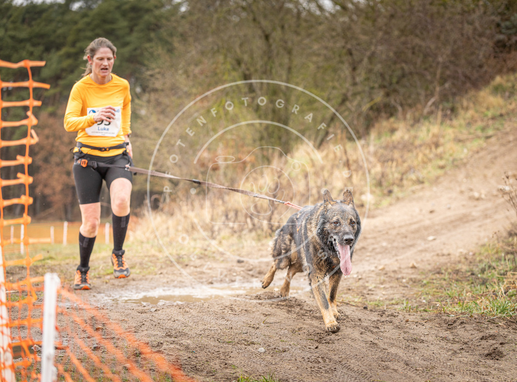 DV3A0472 | Hundefotografie, Tierfotograf, Pfotenfotografie, Fotoshooting Hund, Hunde Portrait, Hundesport, Hundeportraits, Heideshooting, Hunde, Sportfotograf, Hundefotograf, Turnierhundsport, THS,  - Realisiert mit Pictrs.com