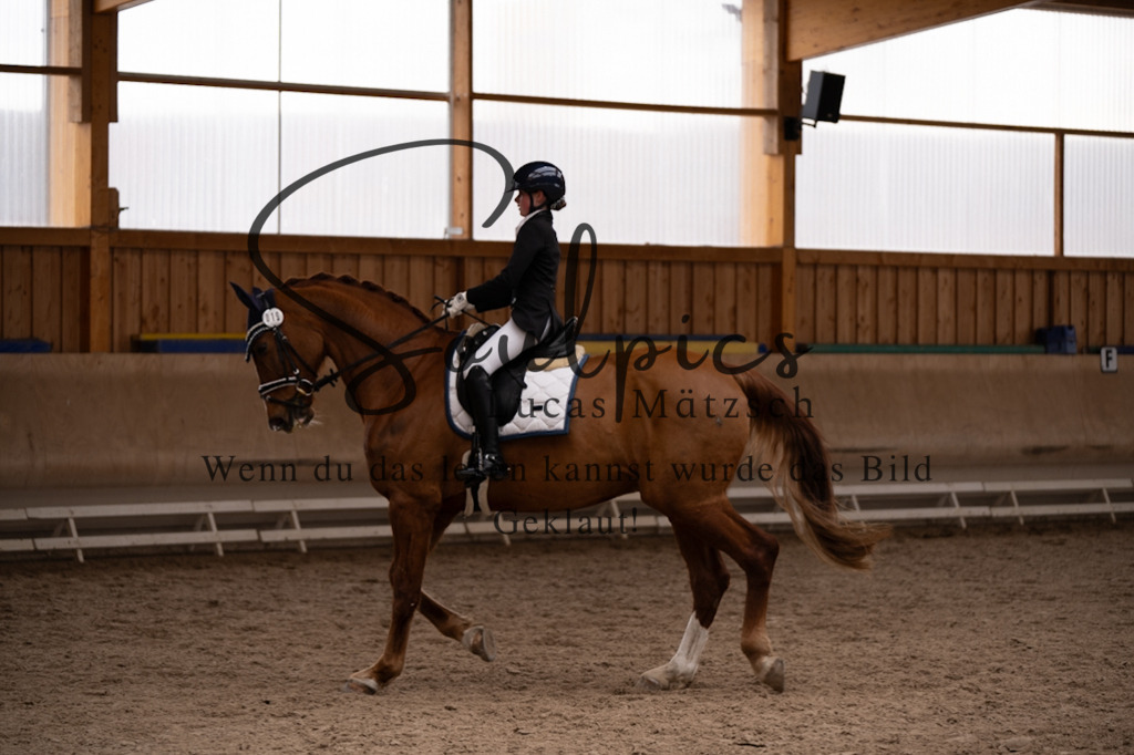 A7V09630 | Pferdefotograf