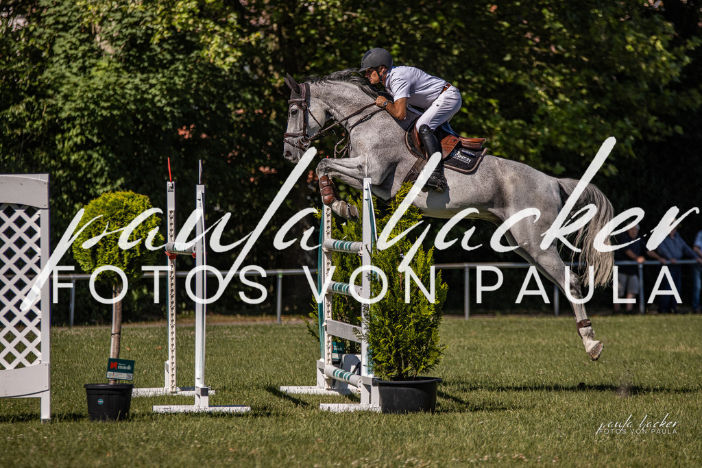 IMG_0707 | Erleben Sie dynamische Sport- und emotionale Tierfotografie in Süddeutschland mit Fotos von Paula. Spezialisiert auf Pferde- und Hundefotografie sowie Sportevents. Kontaktieren Sie mich für einzigartige und ausdrucksstarke Bilder Ihrer besonderen Momente. - Realisiert mit Pictrs.com
