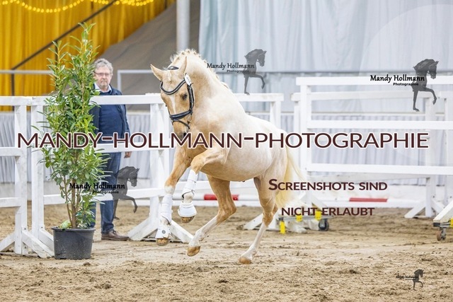 32 (2 von 35) | mandyhollmannphotographie