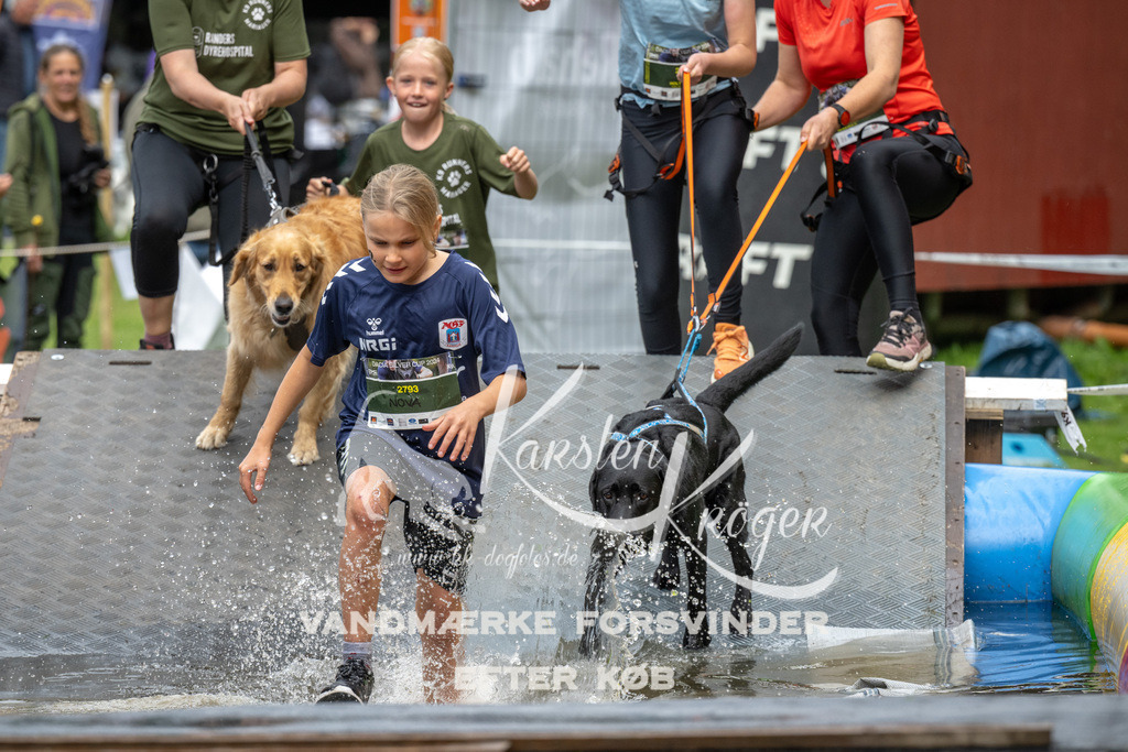 1434_ZZ91414 | kk-dogfotos