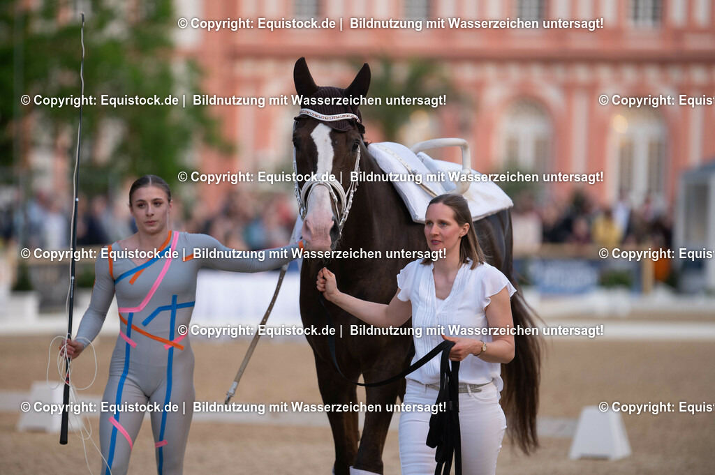 20230527_Voltigieren_NASPA_Flutlicht_0064 | equistock