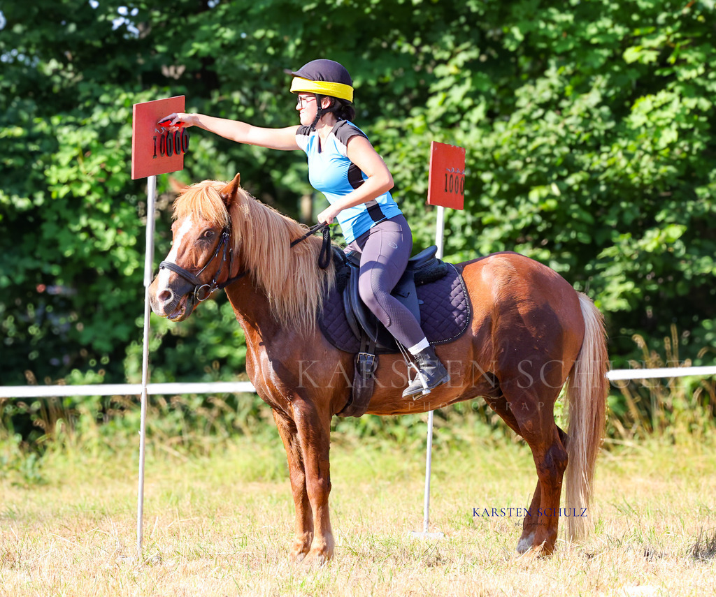 1B3A8484 | Reitsport Reiten