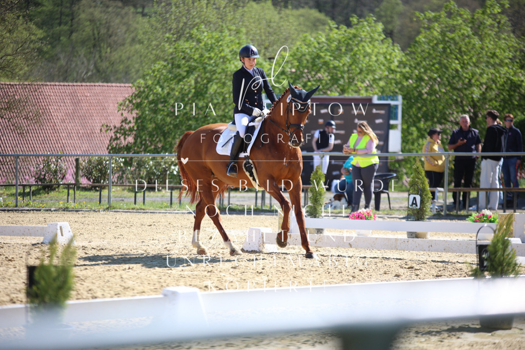 IMGT8278 | pl-fotografie