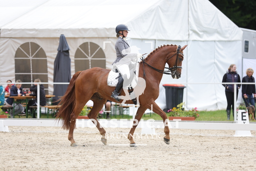 0P6A4570 | Willkommen bei Brunnmayr - Design & Fotografie – Ihrem Spezialisten für Reitturniere und Pferdeveranstaltungen in Oberösterreich, Salzburg und Bayern! Seit über 17 Jahren sind wir leidenschaftlich dabei.