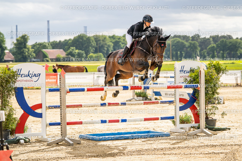 DSC05939 | Pferdegrafie