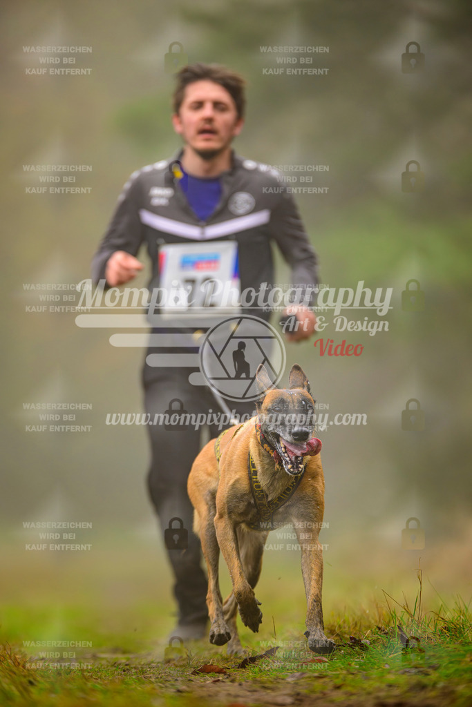 MompixPhotography_Bischwiller2025_Canicross-69 | mompixphotography