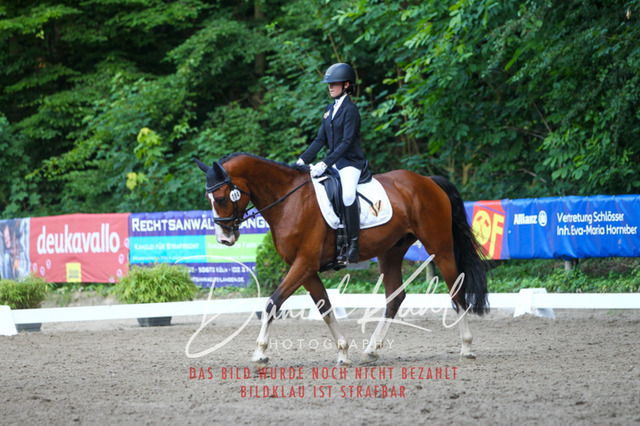 DKP43156 | Turniersportfotografie; Pferdefotografie; Dressurfotografie