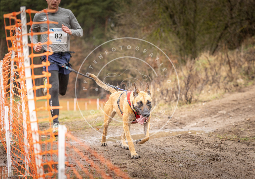 DV3A0354 | Hundefotografie, Tierfotograf, Pfotenfotografie, Fotoshooting Hund, Hunde Portrait, Hundesport, Hundeportraits, Heideshooting, Hunde, Sportfotograf, Hundefotograf, Turnierhundsport, THS,  - Realisiert mit Pictrs.com