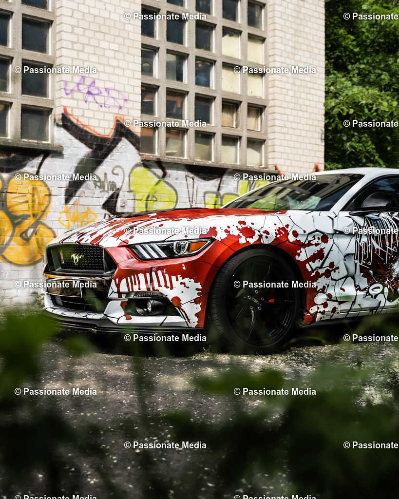 DSC04907 | Passionate Media, dein Fotograf aus Brandenburg, Märkisch Oderland, im Bereich Motorsport, Autos und Motorräder sowie Events und auch Hunde. Shootings oder auch Eventbegleitungen können bei mir gebucht we